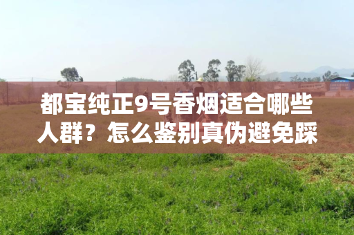 都宝纯正9号香烟适合哪些人群？怎么鉴别真伪避免踩坑？